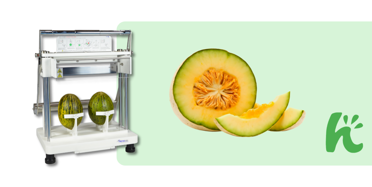 Professional Fruit and Vegetable Cutters